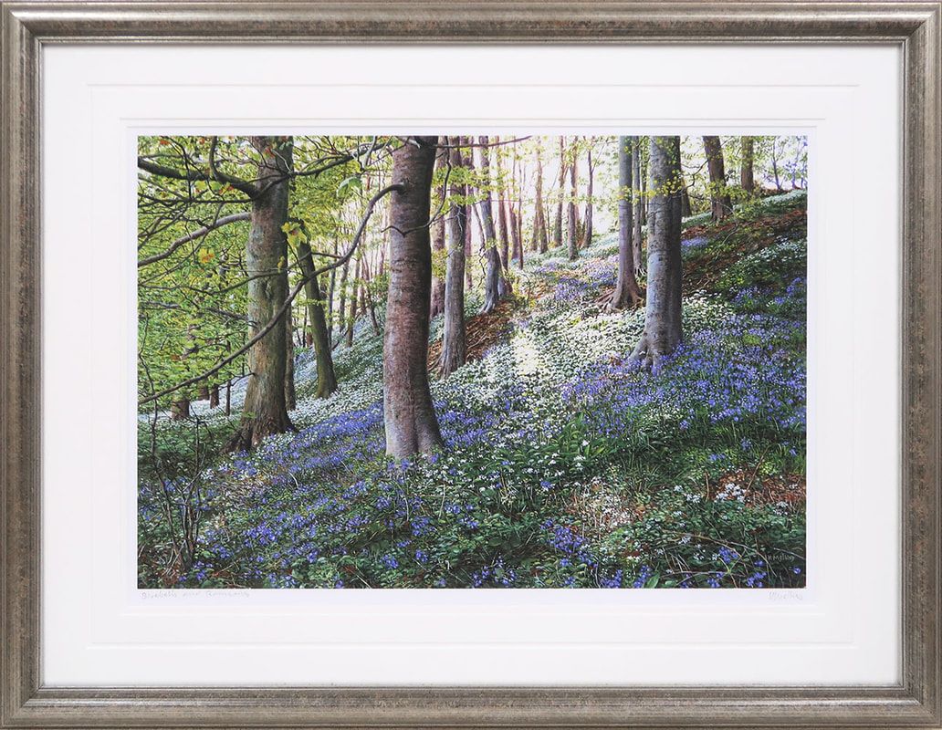 Bluebells and Ramsons  signed print by Keith Melling
