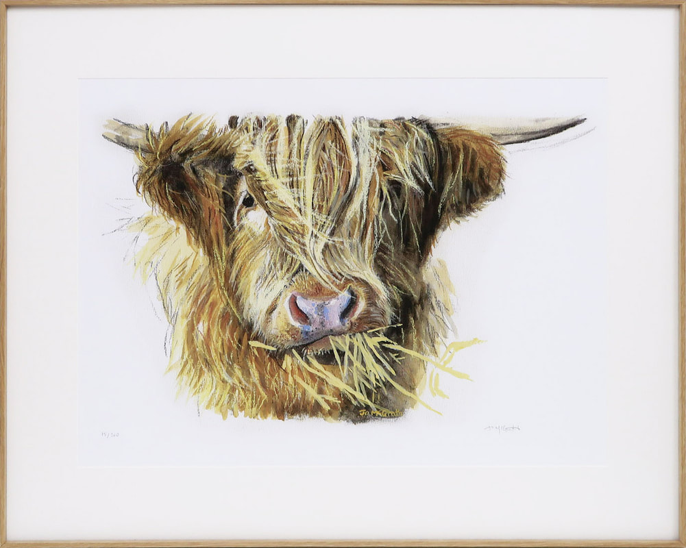 Highland cow limited edition print by Jo McGrath